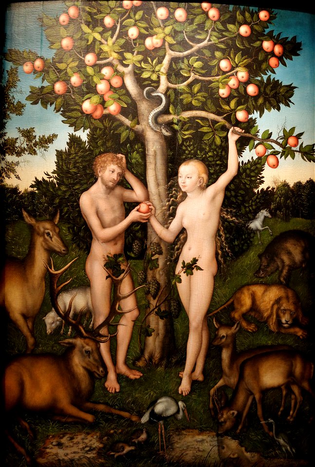Adam and Eve Lucas Cranach the Elder