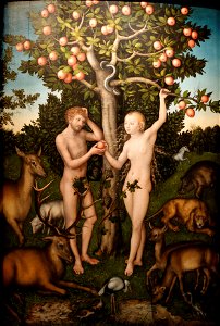 Adam and Eve Lucas Cranach the Elder. Free illustration for personal and commercial use.