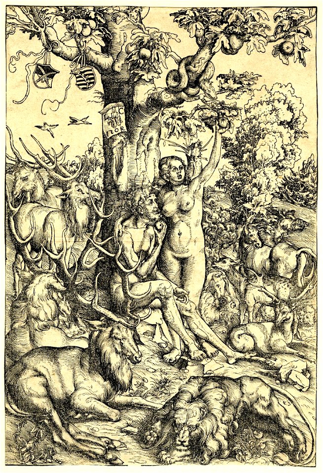 Adam and Eve, the Fall by Lucas Cranach the Elder 1509