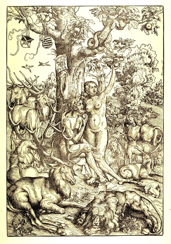 Lucas Cranach d.Ä. - Adam und Eva im Paradis