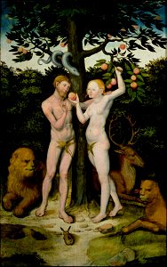 Lucas Cranach d.Ä. - Adam und Eva (16.Jh, Privatsammlung). Free illustration for personal and commercial use.