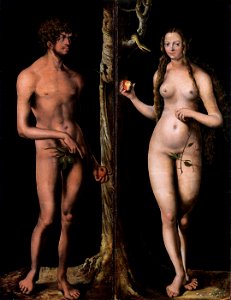 Cranach-AdamEve-Besançon. Free illustration for personal and commercial use.