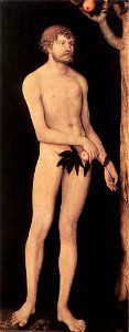 Lucas Cranach d. Ä. - Adam and Eve - WGA05622 (Adam). Free illustration for personal and commercial use.