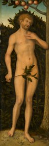 Lucas Cranach the Elder - Adam - Google Art Project. Free illustration for personal and commercial use.