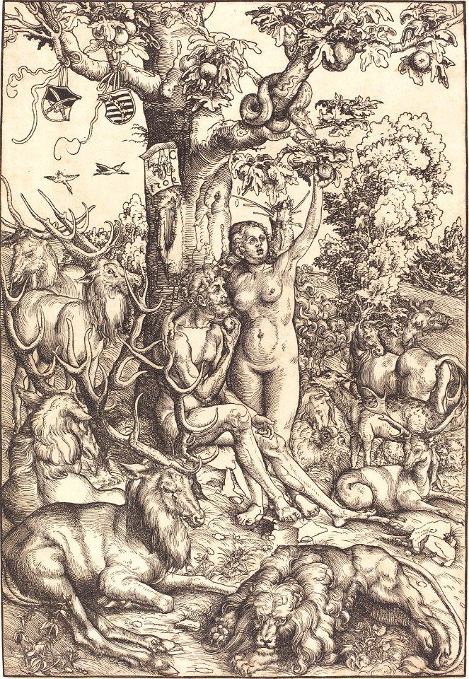 Lucas Cranach d.Ä. - Adam und Eva (National Gallery of Art)