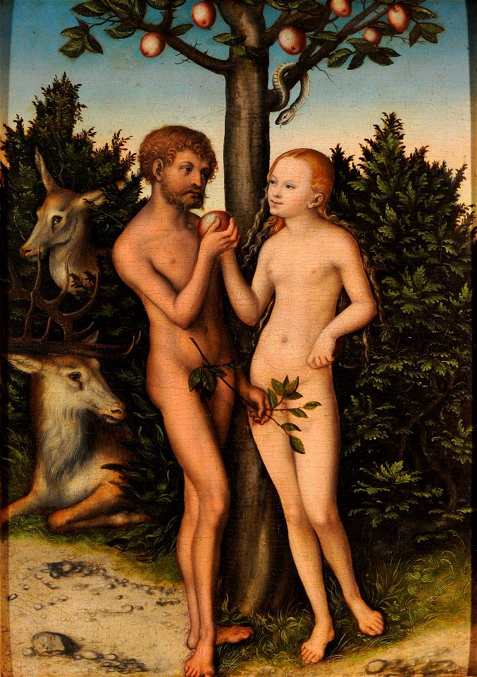 Lucas Cranach d.Ä. - Adam und Eva (Magdeburg)