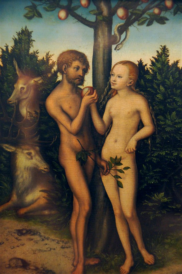 Lukas Cranach dÄ Adam und Eva 1532 Magdeburg