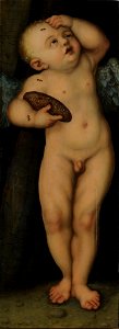 Lucas Cranach d.Ä. - Amor als Honigdieb, Fragment (Kunsthalle Karlsruhe)