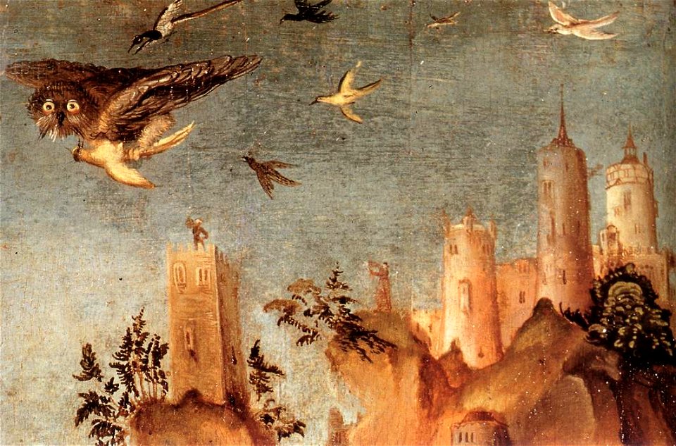 -Cranach, Lucas the Elder - Portrait of Dr. Johannes Cuspinian - detail