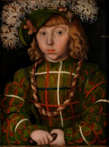 Lucas Cranach the Elder - Portrait of Johann Friedrich the Magnanimous - Google Art Project. Free illustration for personal and commercial use.