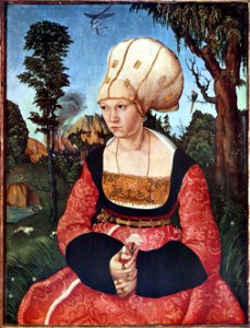 Lucas Cranach (I) - Anna CuspinianFXD