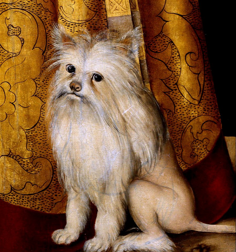 Lucas Cranach the Elder - Duchess Katharina von Mecklenburg - Google Art ProjectFXD crop1
