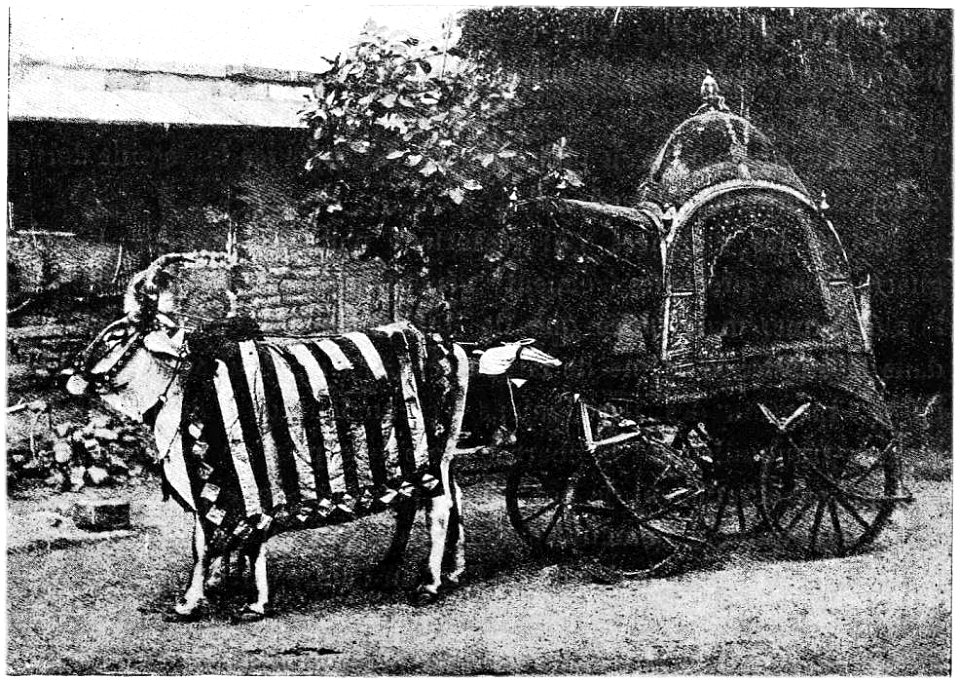 D179- chariot indien pour les femmes -liv2-ch12