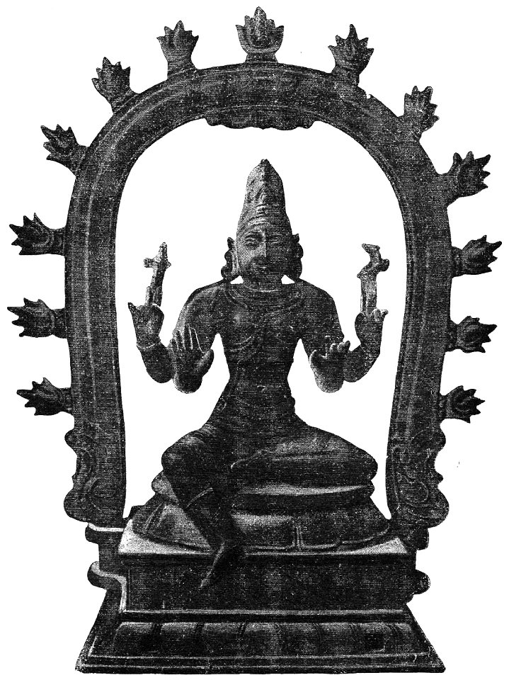 D171- siva -liv2-ch12