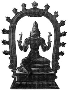 D171- siva -liv2-ch12