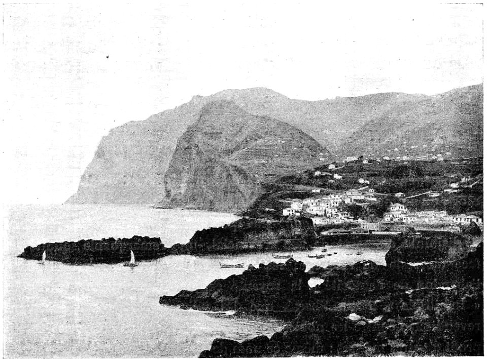 D247- madère, vue de funchal - liv3-ch10