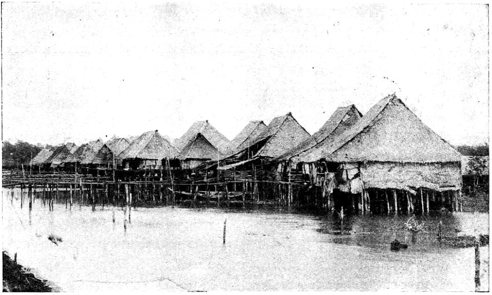 D231- village sur pilotis à singapur -liv2-ch13