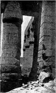 D212-colonne du temple de karnak.-L2-Ch6