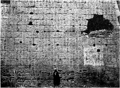 D223-medinet-habu, bas-relief du grand temple.-L2-Ch6