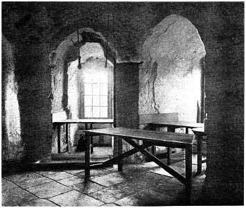 D491- prison de la princesse elisabeth à la tour de londres - liv3-ch14