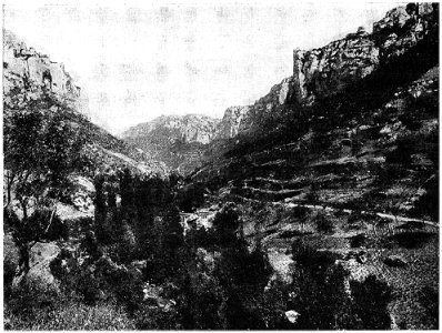 D521- vallée de la jonte, près de meyrueis. - liv3-ch14