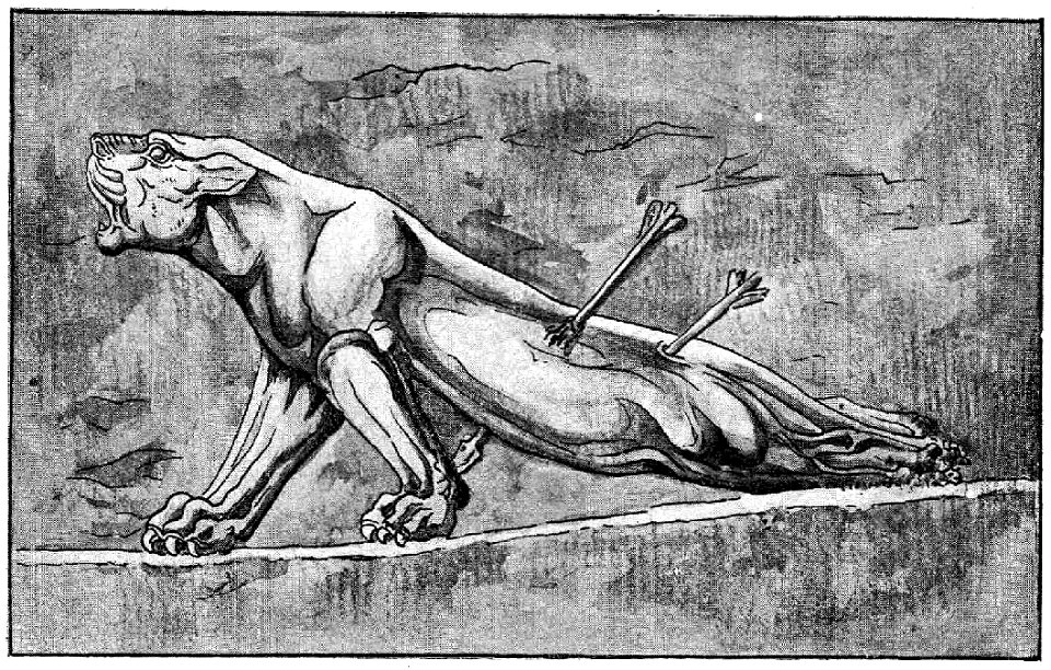 D558- la lionne blessée. -L2-Ch 3