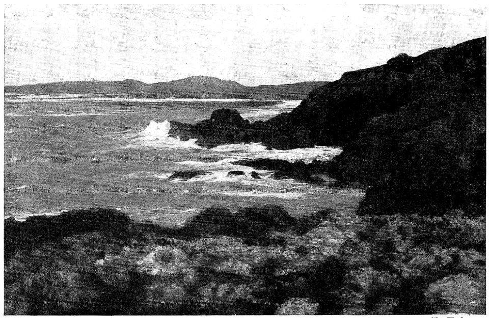 D519 - côte occidentale de iona -liv3-ch5