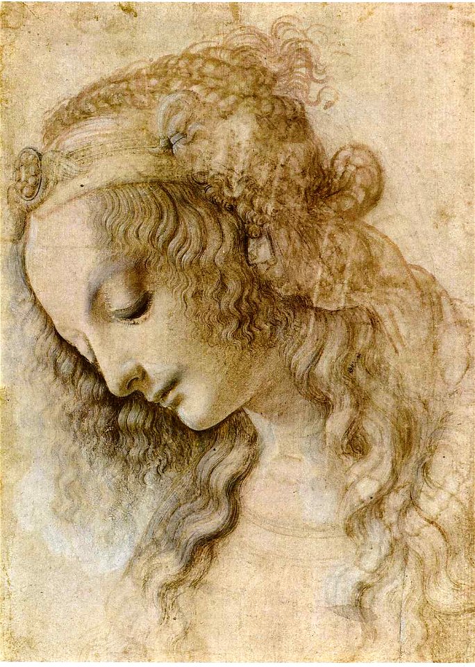 Da Vinci - Weiblicher Kopf im Profil