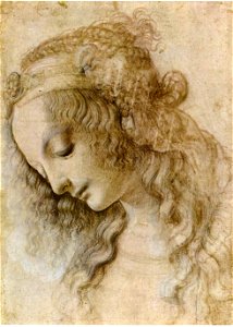 Da Vinci - Weiblicher Kopf im Profil