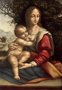 Cesare Da Sesto - Madonna and Child - WGA04684