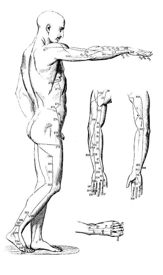 Dabry 1863 c1