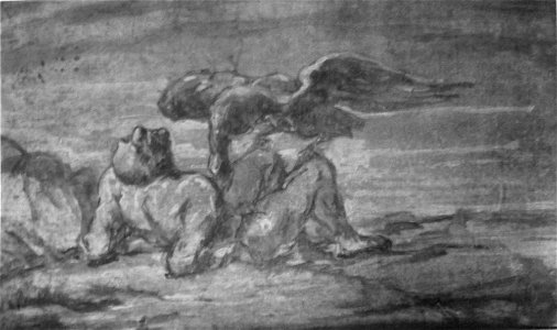 Daumier - DR9519