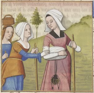 De mulieribus claris (BnF Français 599) 72r - Sulpitia