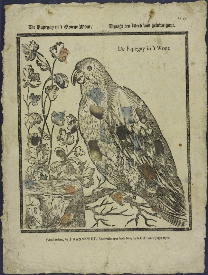 De papegay in 't groene wout, Draagt een kleed van geluwe-gout-Catchpenny print-Borms 0713