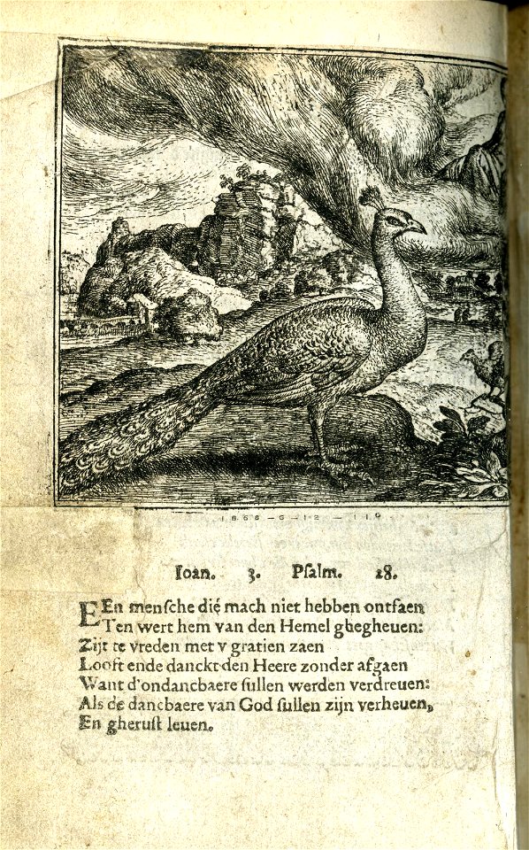 De paeu ende nachtegale (BM 1868,0612.116)