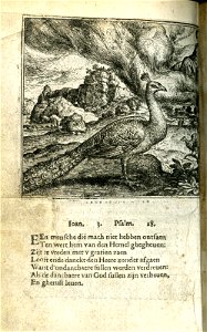 De paeu ende nachtegale (BM 1868,0612.116)