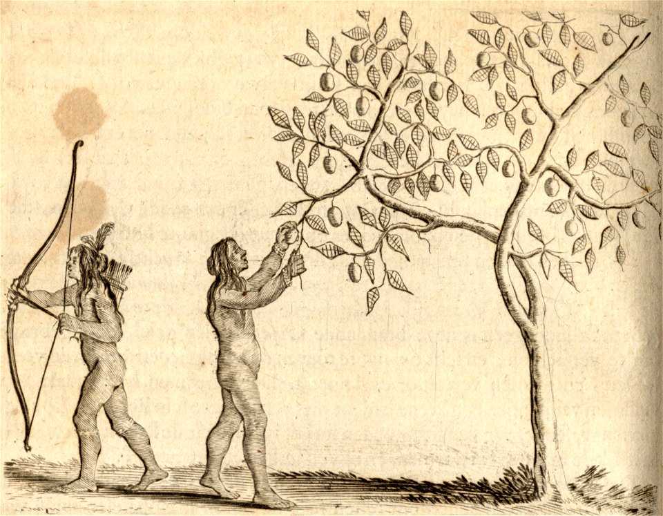 De Pruymen van Ikake - BNA-DIG-KOSTBARE-0427-010