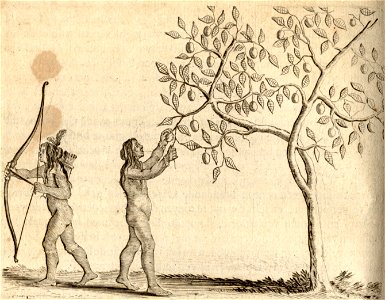 De Pruymen van Ikake - BNA-DIG-KOSTBARE-0427-010