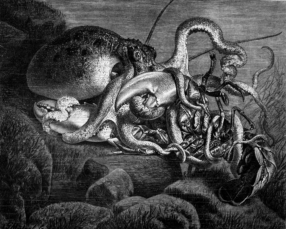 Die Gartenlaube (1894) b 417