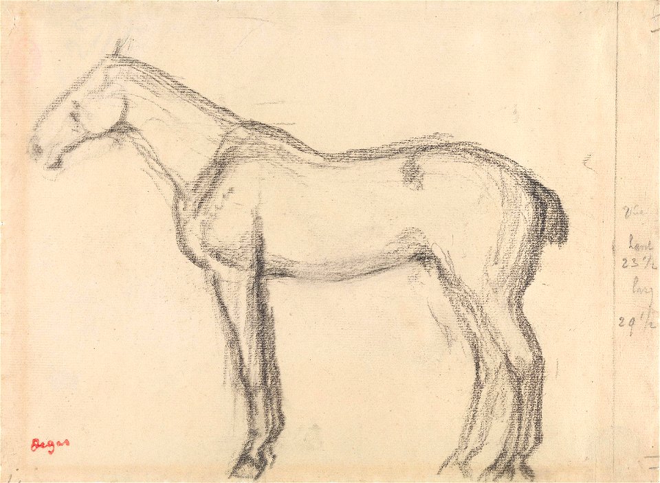 Degas - Horse, NG.K&H.B.15573