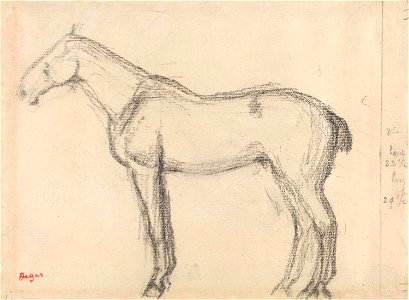 Degas - Horse, NG.K&H.B.15573