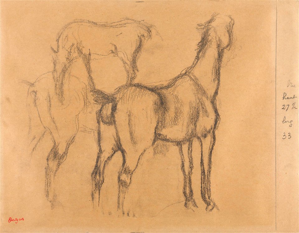 Degas - Studies of horses, NG.K&H.B.15570