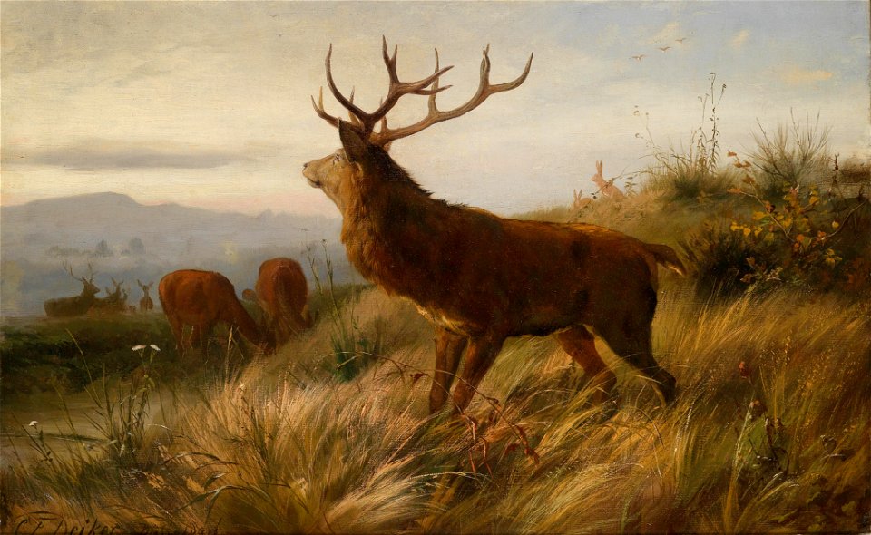 Carl Friedrich Deiker - Rotwildrudel