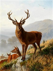 Carl Friedrich Deiker - Der kapitale Hirsch. Free illustration for personal and commercial use.