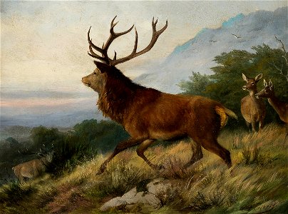 Carl Friedrich Deiker - Rothirsch auf einer Anhöhe (1888)