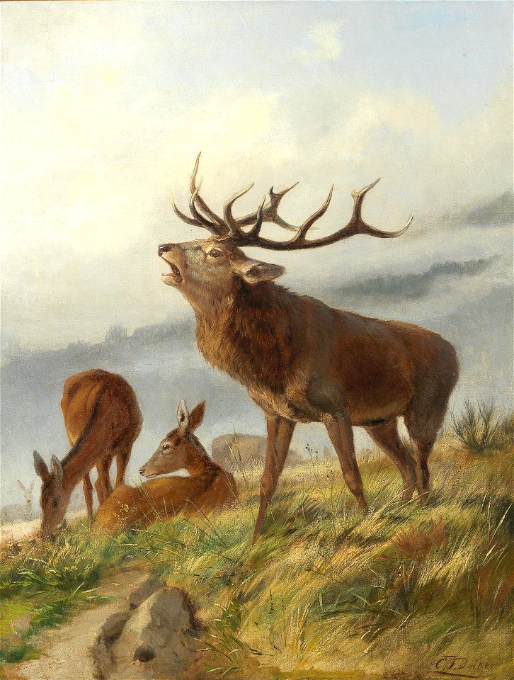 Carl Friedrich Deiker - Röhrender Hirsch mit Hirschkühen