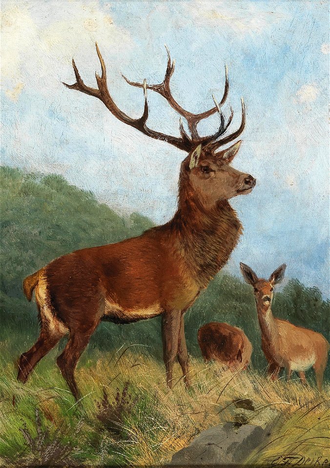 Carl Friedrich Deiker - Platzhirsch