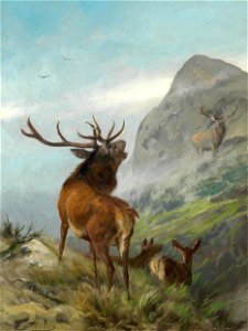 Carl Friedrich Deiker - Röhrender Rothirsch