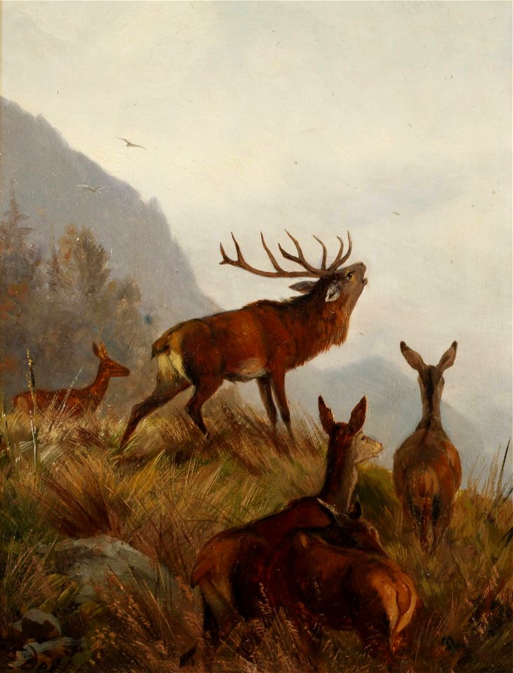 Carl Friedrich Deiker - Hirschgruppe