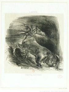 Delacroix - Cheval sauvage, 2e état, btv1b10029785k